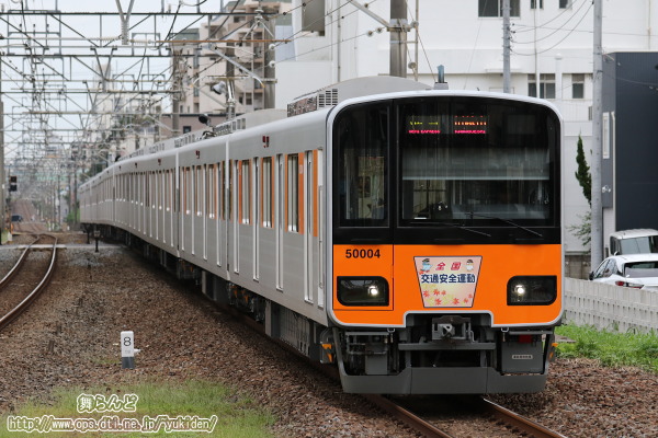 28NH̑SʈS^wbh}[Nt51004F
