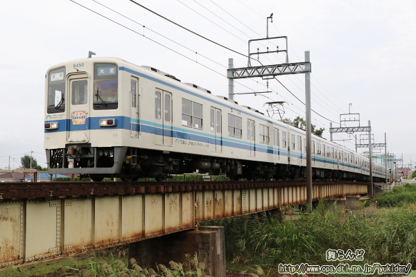 28NH̑SʈS^wbh}[Nt8150F