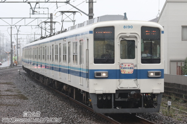 28NH̑SʈS^wbh}[Nt8190F