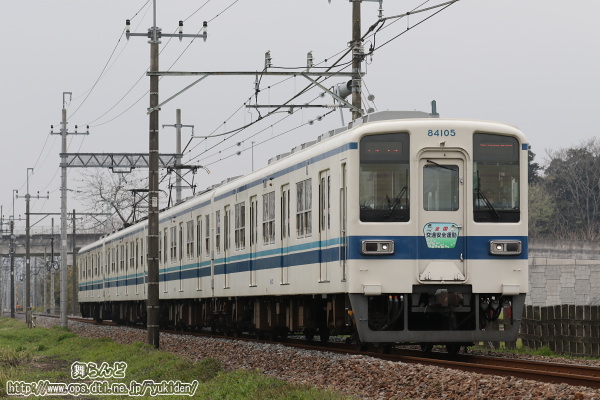 28Nt̑SʈS^wbh}[Nt81105F