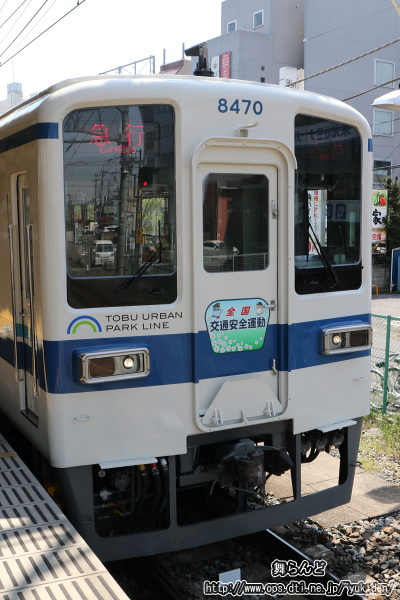 28Nt̑SʈS^wbh}[Nt8170FîPj