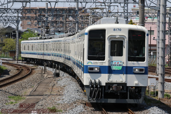 28Nt̑SʈS^wbh}[Nt8170FîQj