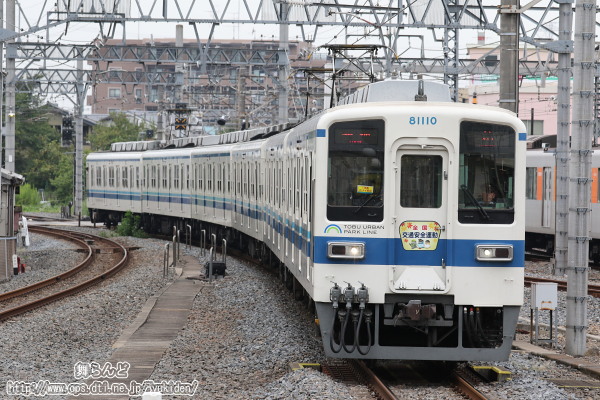 30NH̑SʈS^wbh}[Ni81110Fj
