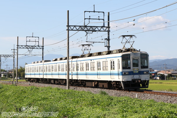 30NH̑SʈS^wbh}[Ni851F^̂Pj