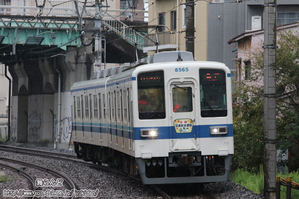 30NH̑SʈS^wbh}[Ni8565Fj