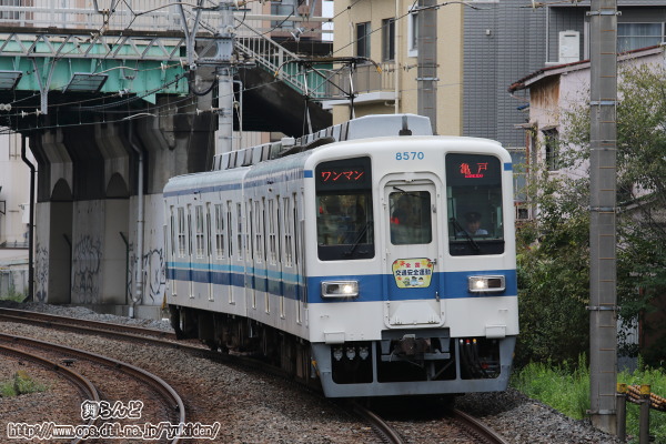 30NH̑SʈS^wbh}[Ni8570F^̂Pj