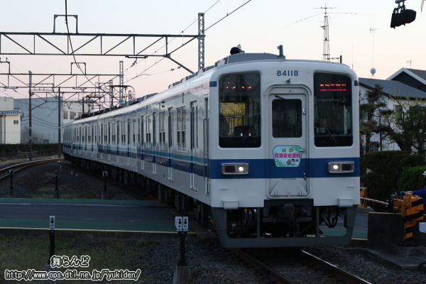 30Nt̑SʈS^̃wbh}[Nt81118F