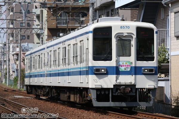 30Nt̑SʈS^̃wbh}[Nt8570F