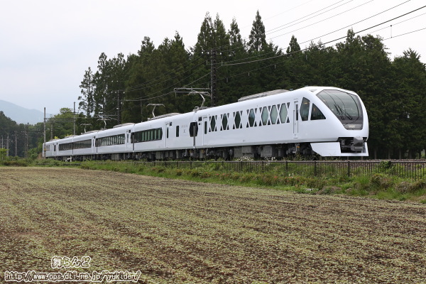 何かが芽吹きだした倉ヶ崎SL花畑脇を走り抜ける試運転中のN101編成