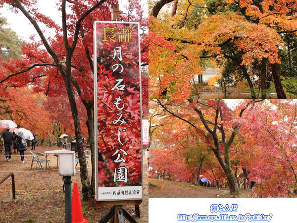 月の石もみじ公園