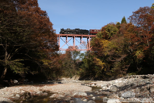 浦山川橋梁を渡るSLパレオエクスプレス（その２）