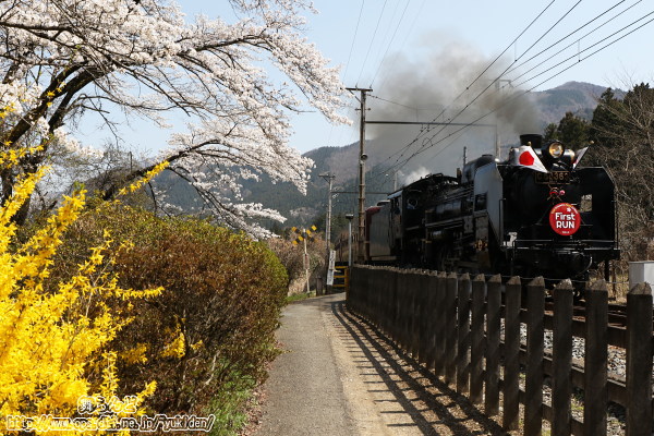 制約の多い中で撮ったもの（SLパレオエクスプレス）