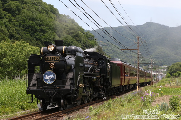 晩春の山間部を行くSL崩壊スターレイルエクスプレス（往路）