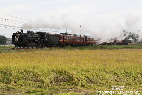 武州荒木から折り返して始発の行田市駅に向かうSL日本遺産のまち行田号
