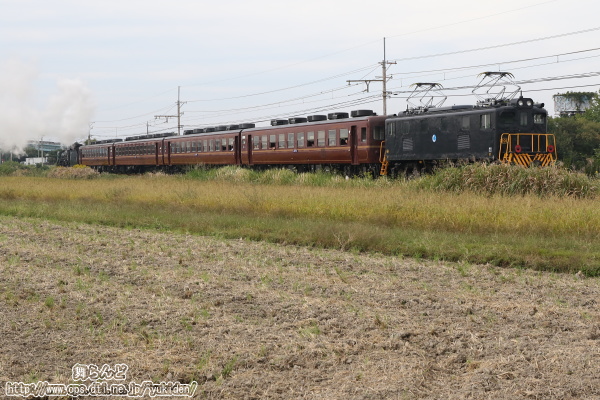 後追いで撮影した行田市駅に向かうSL日本遺産のまち行田号