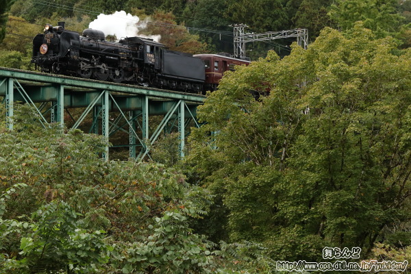 周りの木々が色付き始めた安谷川橋梁を渡るSL日本遺産のまち行田号