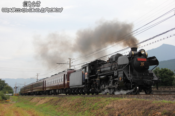 ft{`io[Ȃv[gtC58363@
