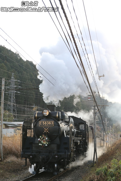 o؂C58363