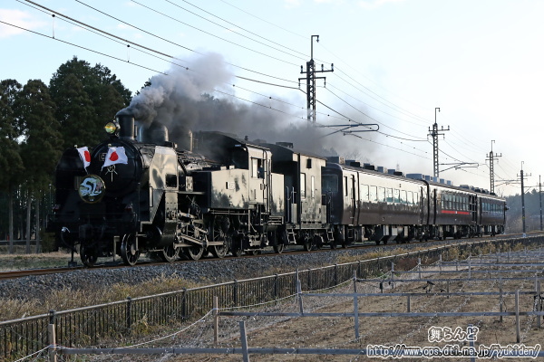 倉ヶ崎SL花畑の脇を走り向ける謹賀新年のヘッドマークと日章旗を掲げたSL大樹7号