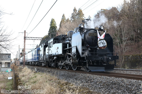 最後尾のC11 207を撮影