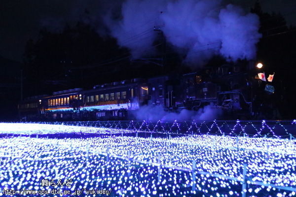 倉ケ崎SL花畑のイルミネーションとSL大樹8号