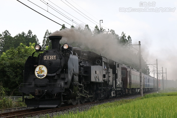 SL大樹運行開始5周年オリジナルヘッドマークを付けたC11 207（SL大樹ふたら72号）