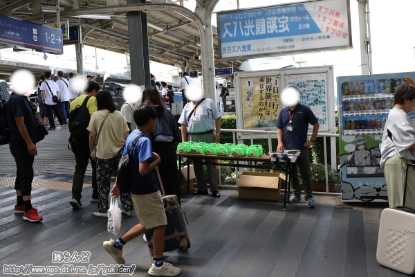 子供達へのカブトムシのプレゼント（鬼怒川温泉）