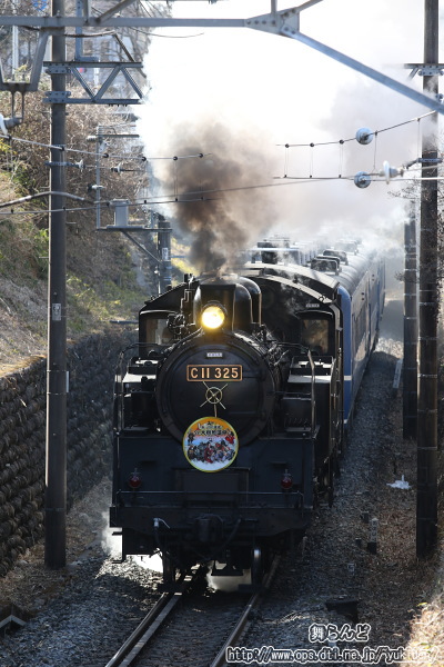 沿線でSL大樹珍道中1番列車を撮影（SL大樹1号／2月27日）