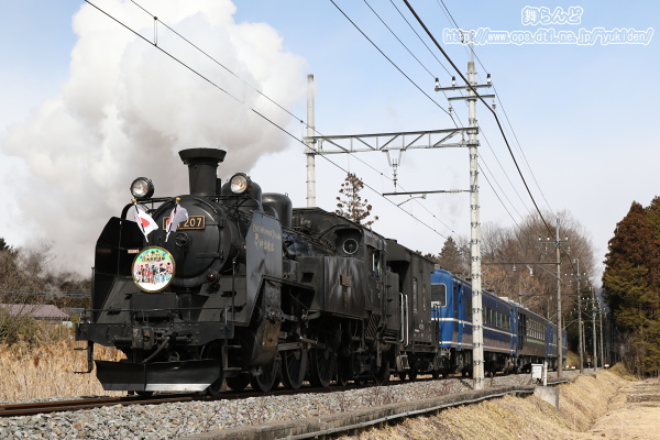 日章旗を掲げたEDO WONDER TRAIN（2/23　SL大樹2号）