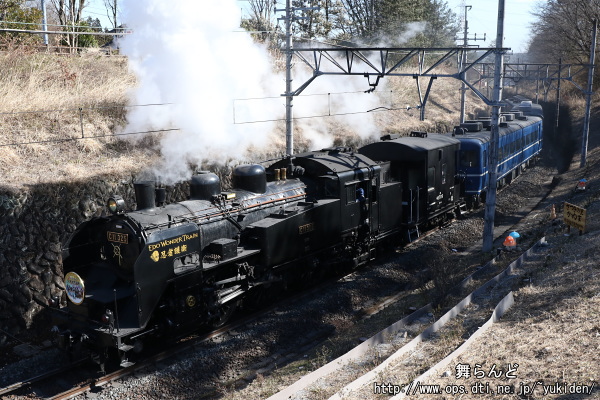 掘割部を行くオリジナルヘッドマークを付けたEDO WONDER TRAIN（2/26　SL大樹5号）