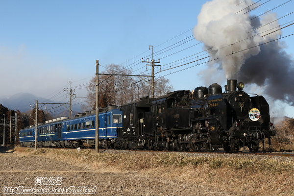 緑少ない冬枯れの中を行くオリジナルヘッドマークを付けたEDO WONDER TRAIN（2/26　SL大樹6号）
