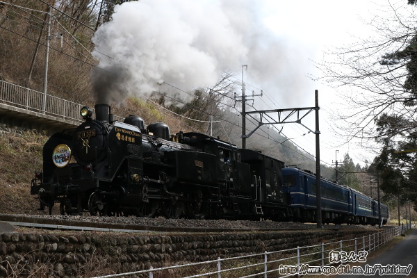 たまには違う構図で撮影したEDO WONDER TRAIN（3/12　SL大樹5号）