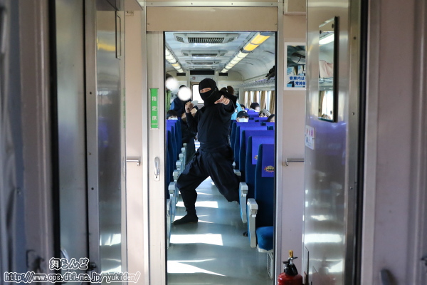 ポーズをとる江戸忍者（3/4　SL大樹1号）