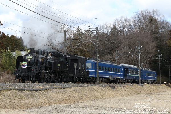 冬枯れた田園を行くEDO WONDER TRAIN（SL大樹2号　2/18）