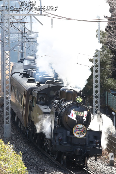 白煙を上げながら姿を見せたEDO WONDER TRAIN（2/23　SL大樹5号）