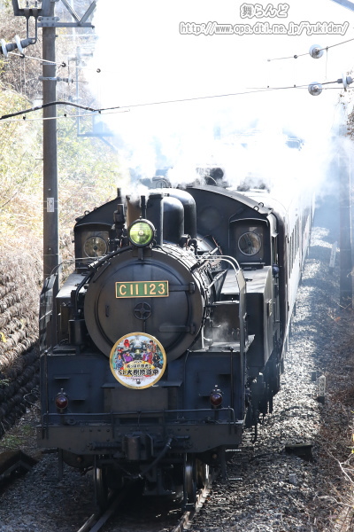 煙を吐きながら掘割区間を走るEDO WONDER TRAIN（2/24　SL大樹5号）
