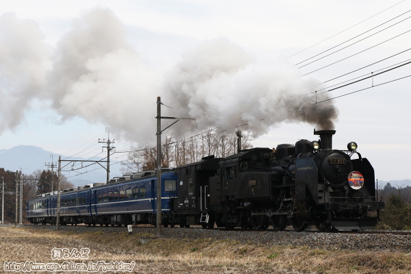 SL大樹　EDO WONER TRAIN（SL大樹2号　2/22）