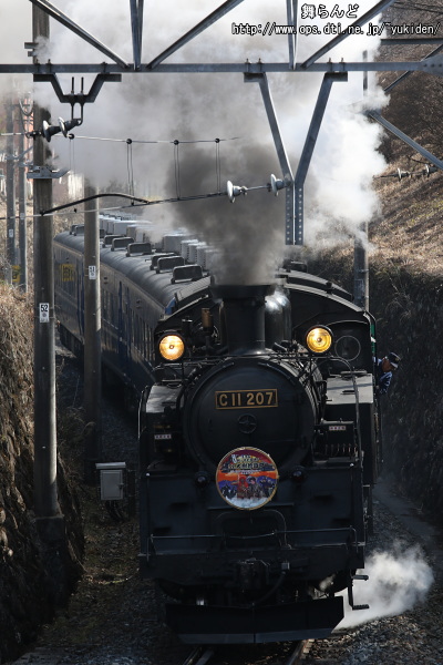 SL大樹　EDO WONER TRAIN（SL大樹3号　2/22）