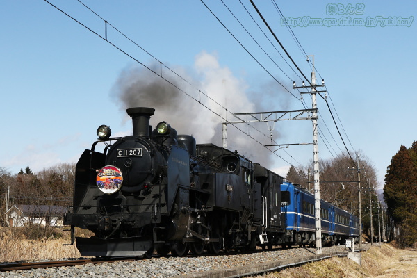 SL大樹　EDO WONER TRAIN（SL大樹2号　2/24）