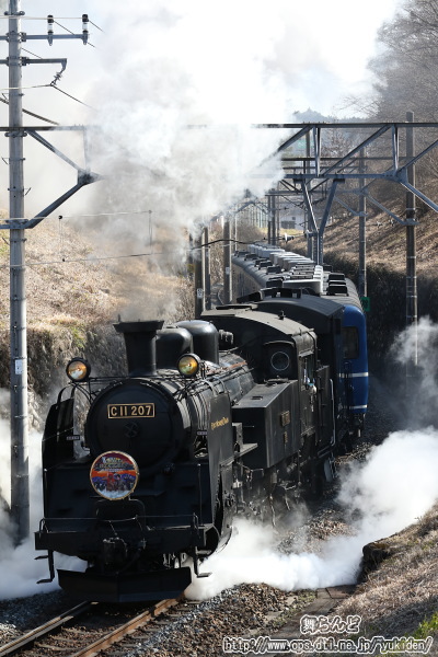 SL大樹　EDO WONER TRAIN（SL大樹3号　2/24）