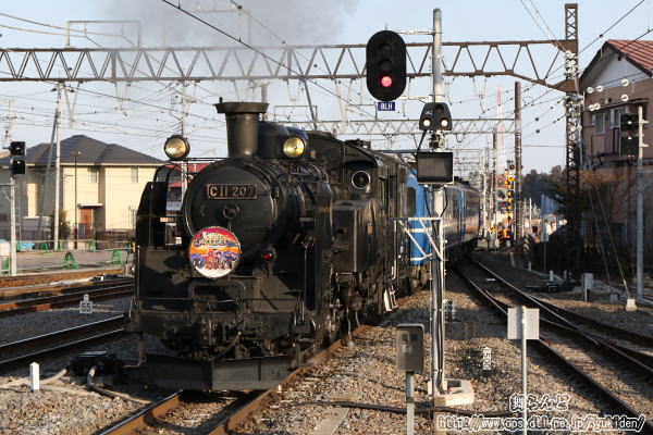 下今市駅2番ホームに入線するSL大樹　EDO WONER TRAIN（SL大樹5号　2/24）