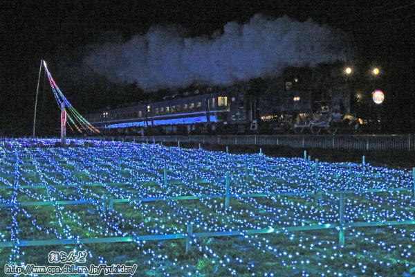 電飾に照らされたSL大樹