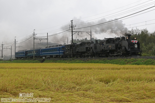 C11 207とC11 123のSL大樹重連運転（往路）