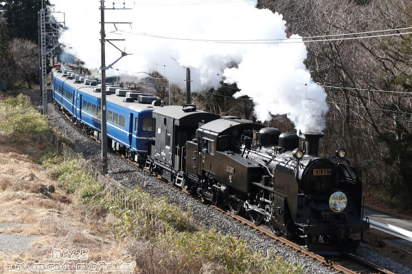 勢いよく煙をはくSL大樹1号（2019-2-16）