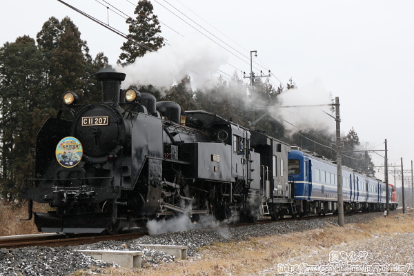 粉雪が舞う中を行くSL大樹3号（2019-2-9）