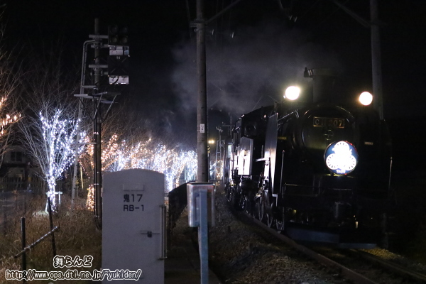 ふくろうの森のイルミネーションに照らされて車体が光るSL大樹