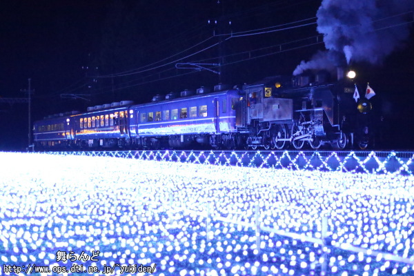 倉ヶ崎SL花畑で撮影した復路のSL大樹イルミネーション特別運行列車（11/23）