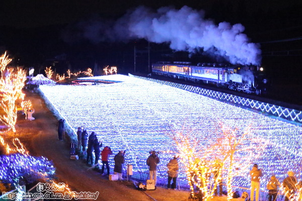 倉ヶ崎SL花畑にある小山から撮影したSL大樹イルミネーション特別運行列車