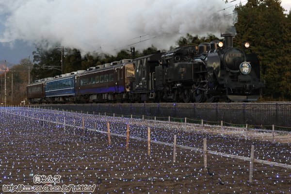 明るい中、イルミネーションが始まった倉ヶ崎SL花畑とSL大樹6号