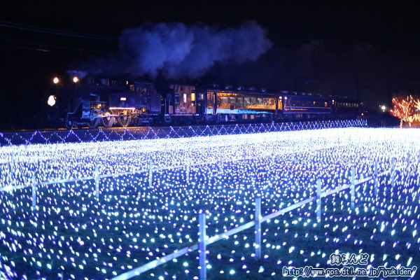 今年最初のSL大樹イルミネーション特別運行（SL大樹9号）